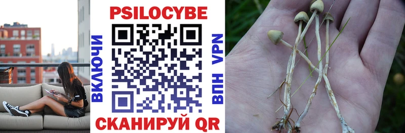 Псилоцибиновые грибы мухоморы  Кунгур 